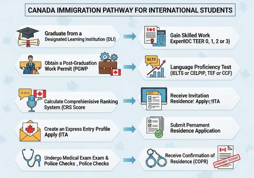 Sơ đồ các bước chính trong lộ trình định cư Canada sau du học.