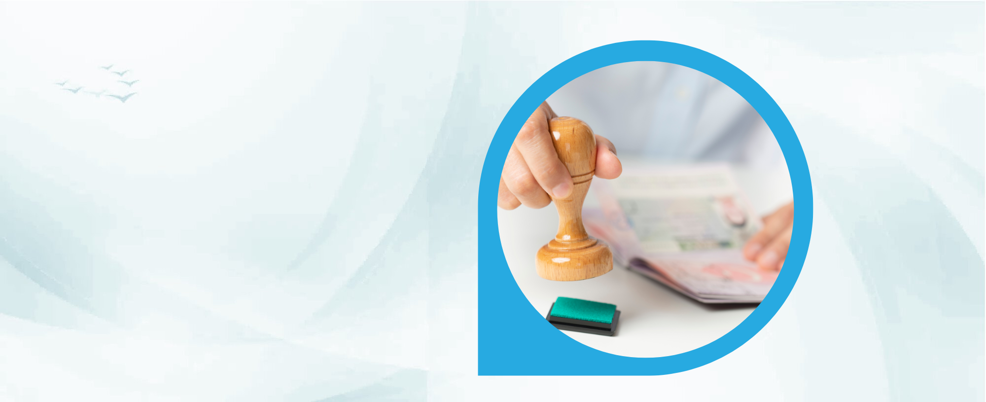 SIEC Visa Banner